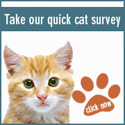 Cat Survey
