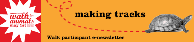 Making Tracks - Walk Participants Enewsletter