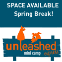 Unleashed graphic