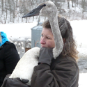 Swan