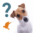 Helping Animals Close to Home