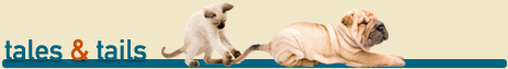 Tales and Tails